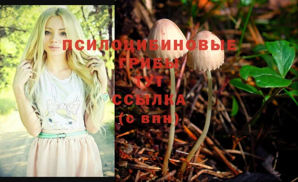 мескалин Беломорск