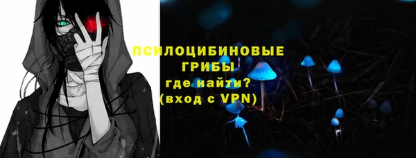 бошки Белокуриха