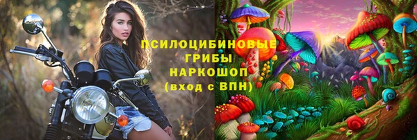бошки Белокуриха