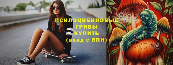 бошки Белокуриха