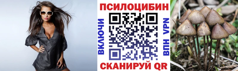 МЕГА ONION  Высоковск  Галлюциногенные грибы мицелий 